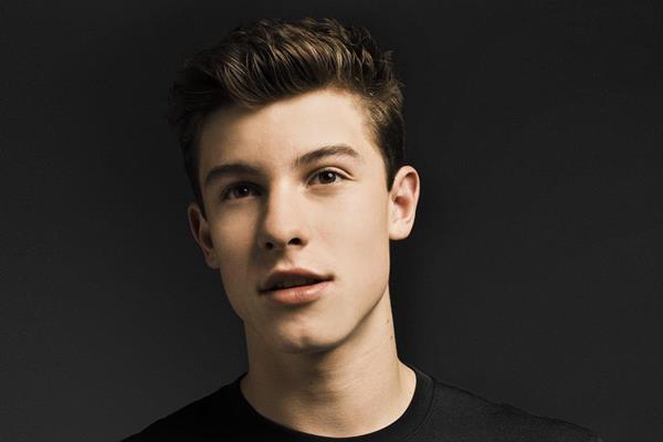 Shawn Mendes by Blossom Berkofsky.jpg