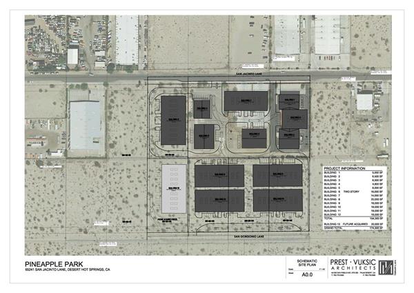 Pineapple Park master plan draft.jpg