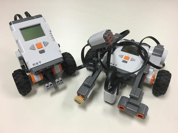 REM Bot and Domabot.JPG
