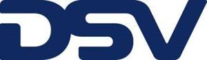 DSV Logo.jpg