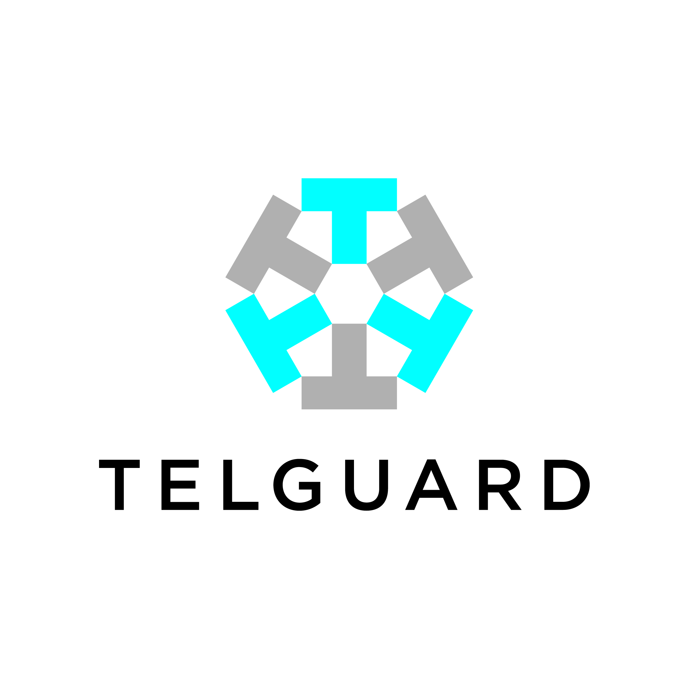 Telguard Logo PMS.jpg