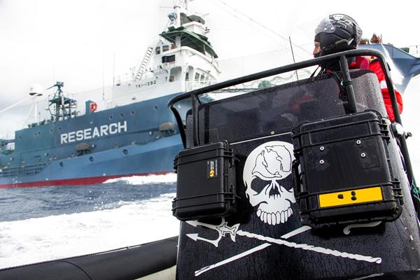 Sea Shepherd's small boat during confrontation with Japanese Whalers in Southern Ocean Whale Sanctuary.


Photo: Carolina A. Castro / Sea Shepherd
