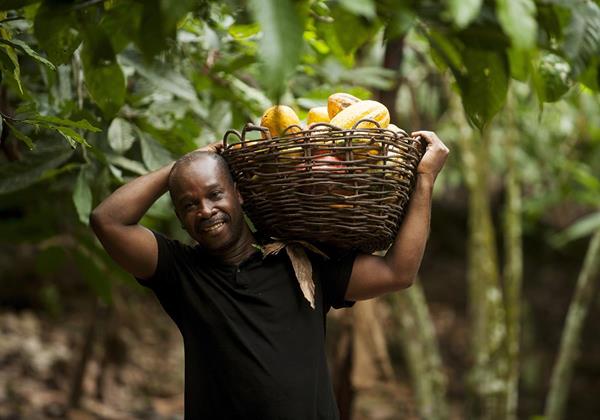 Fortin Bley is an Ivorian cocoa farmer and chairperson of Fairtrade Africa’s West African Network