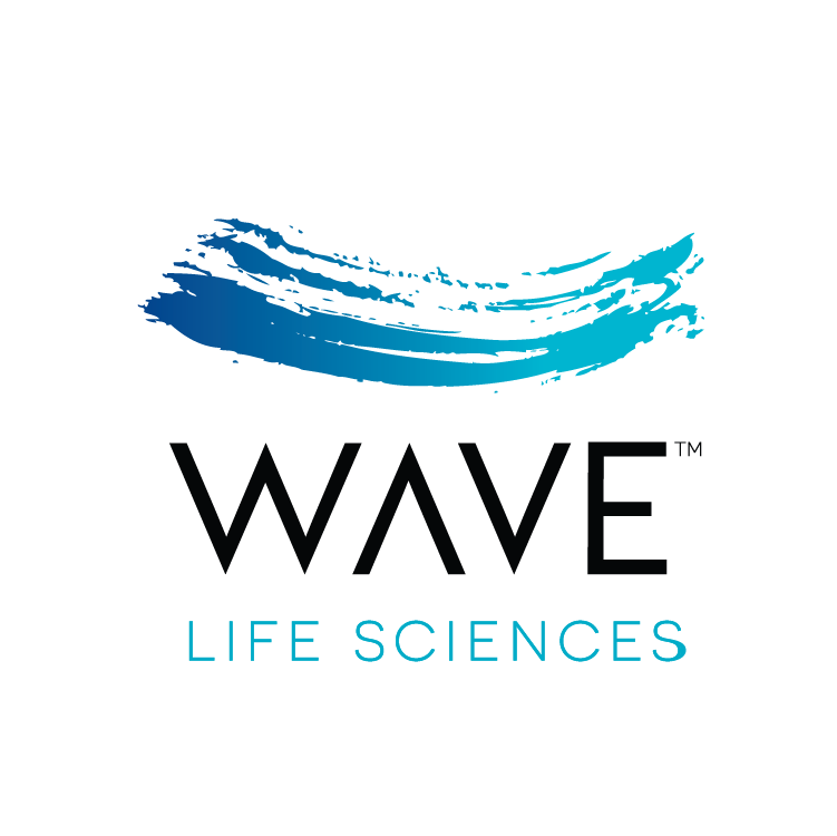 Wave Logo Swoosh-01 (005).png