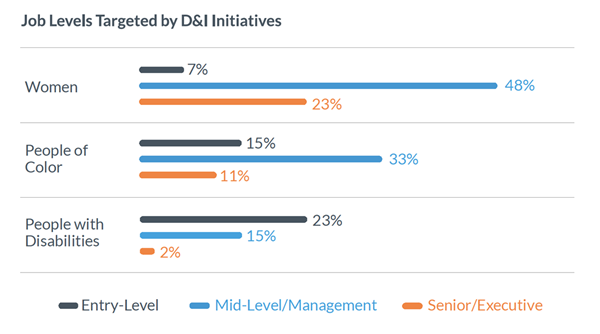 Who do D&I initiatives target for senior roles?