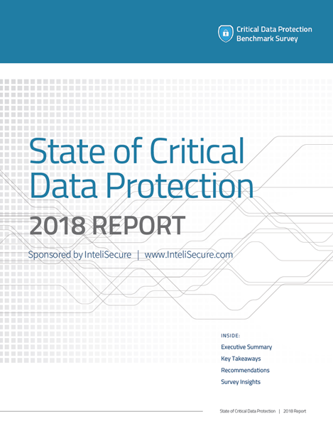 State of Critical Data Protection - report cover
