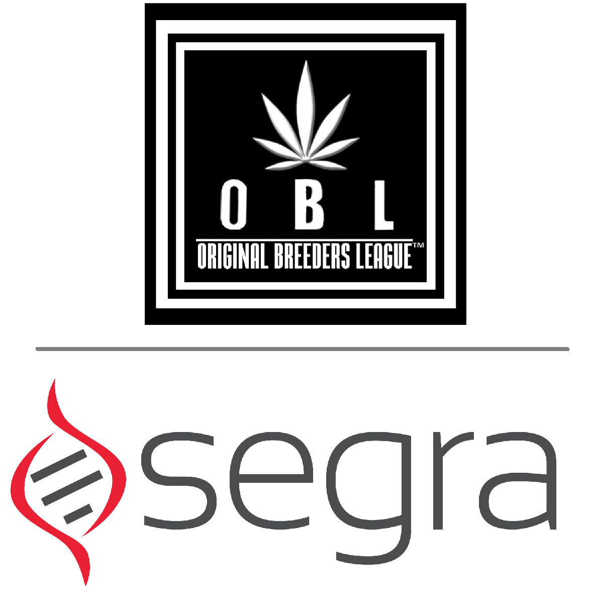 Segra OBL Logo combined