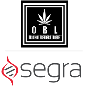 Segra OBL Logo combined