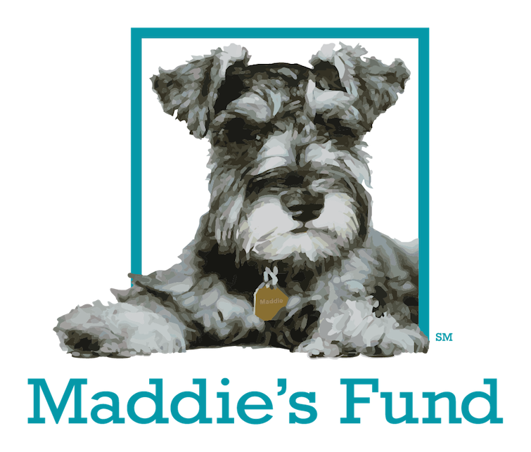 Maddie’s Fund Grants