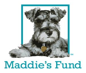 0_int_maddies-fund_square_color.png