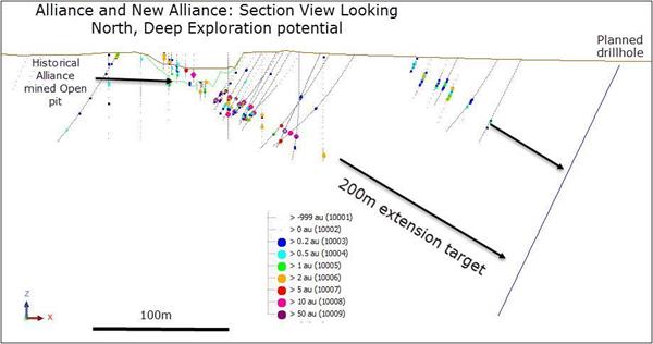 Figure 3: Alliance and New Alliance: Section View Looking North