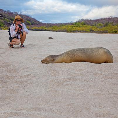 Travelers spot the islands' famed wildlife on daily naturalist-guided excursions. 