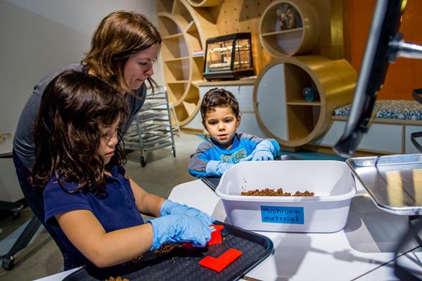 Young visitors create mushroom bricks in a bioengineering activity in BioDesign Studio at The Tech Museum of Innovation. 