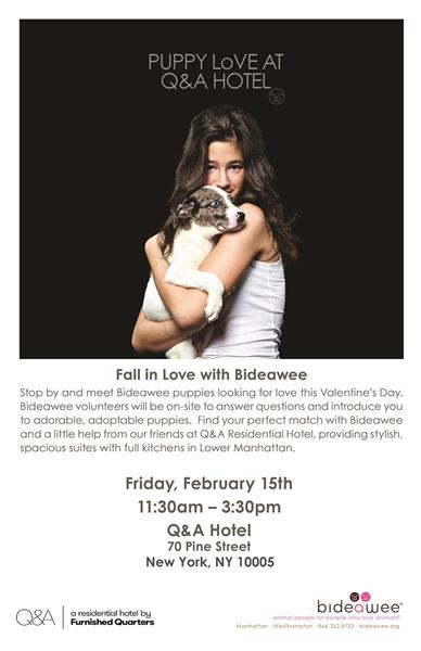 This is Q&A’s first event in conjunction with Bideawee. Furnished Quarters, the hotel’s parent company, has held two pet adoption events with Bideawee.
