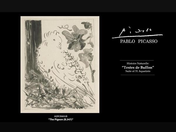 Pablo Picasso, Histoire Naturelle:"Textes de Buffon"
Suite of 31 Aquatints, The Pigeon (B.347)




