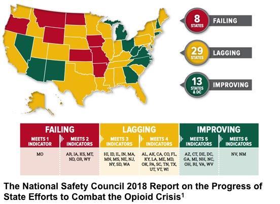 The National Safety Council 2018 Report on the Progress of State Efforts to Combat the Opiod Crisis