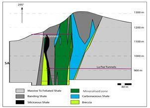 Cross section of the mineralized zone at Coscuez