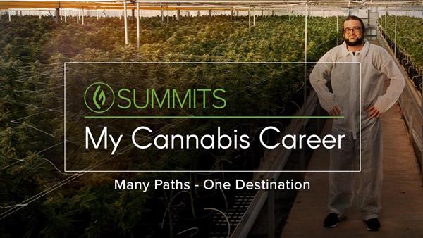 My Cannabis Career Summit