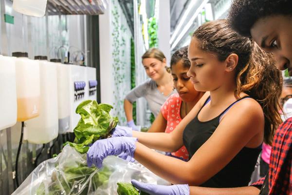 Students at The Tech for Global Good Youth Summit will dive deep into how technology can inform solutions to climate change and draw inspiration from the 2018 Tech for Global Good laureates like Freight Farms, featured here. 