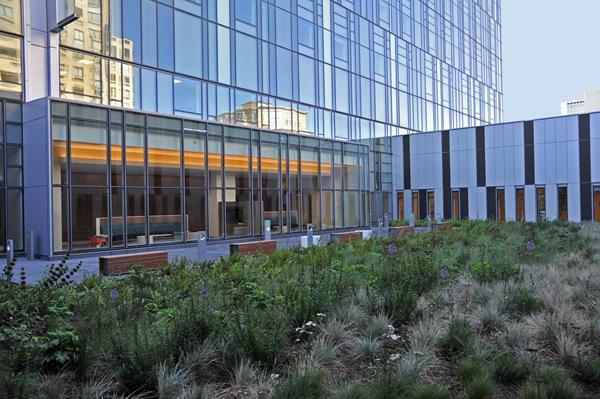 The public rooftop garden at the new California Pacific Medical Center (CPMC) Van Ness Campus hospital in San Francisco.