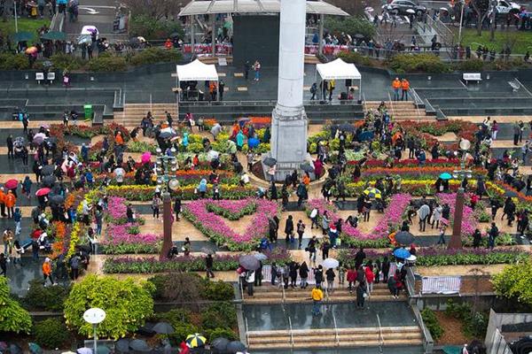 American Tulip Day presented by the Embassy of  Kingdom of the Netherlands, Royal Anthos and iBulb at Union Square in San Francisco