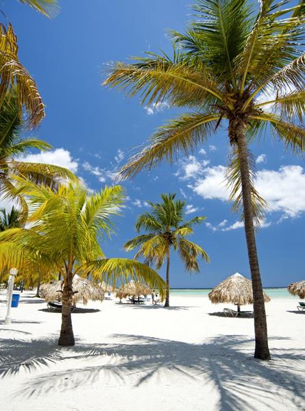 From sailing to snorkeling, the beaches of Dominican Republic offer endless opportunities for travelers and families in search of a winter escape. 