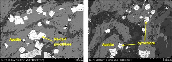 Figure 1. Back-scattered electron images showing coarse grained pyrochlore crystals (white) in  apatite at 384.8m in drill hole PGH-18-06 (left) and 3
