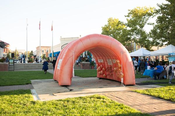 This 10x10 inflatable colon was stolen from the back of a pick-up truck in suburban Kansas City, MO, while waiting to be featured at a breast cancer event on Oct. 20. 
Photo credit: Christina Marie Z Photography for the Colon Cancer Coalition