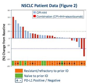 NSCLC Patient Data (Figure 2)
