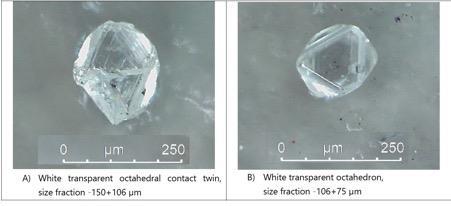 Two octahedral diamonds recovered from sample CF-R1-2