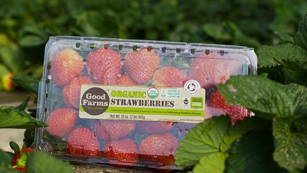 Andrew & Williamson strawberries are found in stores under the GoodFarms brand featuring the EFI label