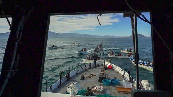 Sea Shepherd vessel surrounded by illegal skiffs inside vaquita refuge --Mexico.