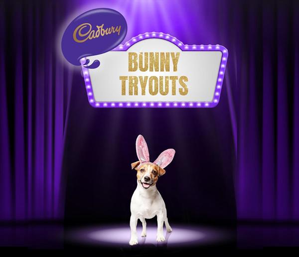 Cadbury Bunny Tryouts