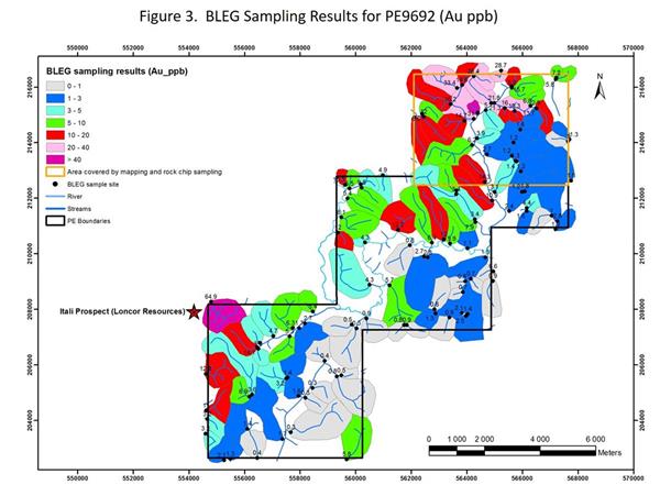 Figure 3. BLEG Sampling Results for PE 9692 (Au ppb)