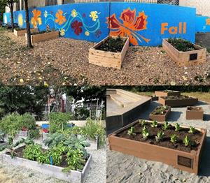 Teaching gardens made possible with support from the Just Energy Foundation’s Sustainable Garden initiative