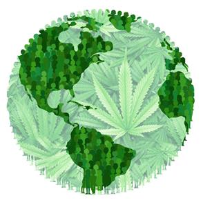 Global Cannabis Consumers