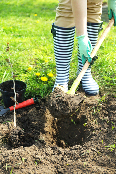 Planning a weekend project? At least two business days before you put a shovel in the ground, call JULIE at 811. This is a free call and service in Illinois.