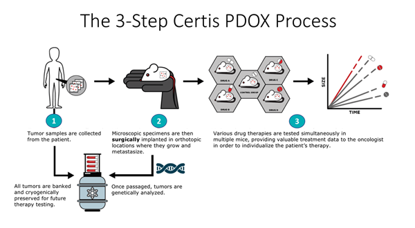 The 3-Step Certis Process