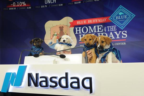 Helen Woodward Animal Center celebrates the Blue Buffalo Home 4 the Holidays Campaign with orphan pups ringing Nasdaq's Opening Bell.