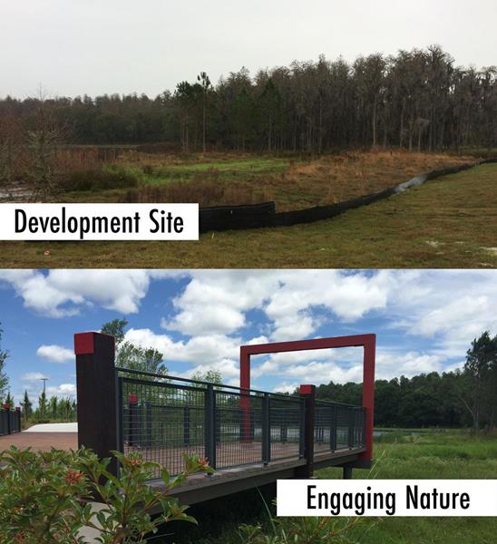 Starkey Ranch Development, North Tampa, FL | YBC teamed with Wheelock Street Capital to provide vehicular bridges, pedestrian bridges, nature walks, and outlook vistas to engage the natural wetlands. 