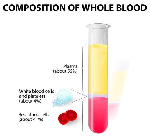 Whole Blood Composition