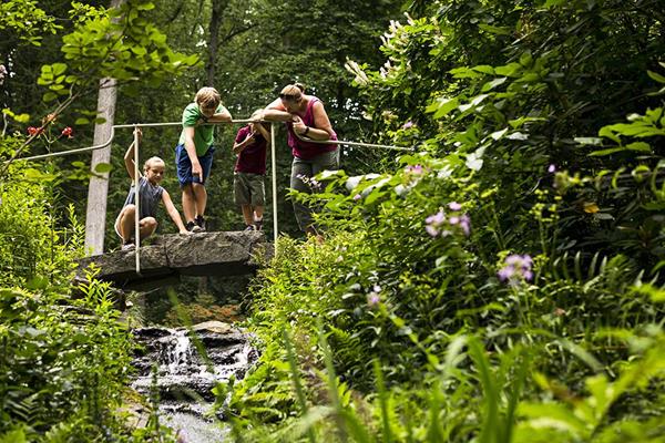 Discover the wonders of water at Mt. Cuba Center's Summer Splash! on July 23rd. The event includes a scavenger hunt, dragonfly discovery station, watershed demonstration models, and expert gardening advice from Mt. Cuba Center's horticultural staff.