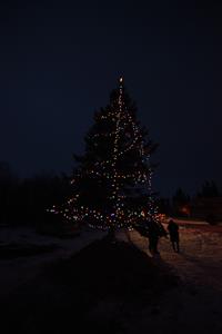 Pikangikum Christmas Tree