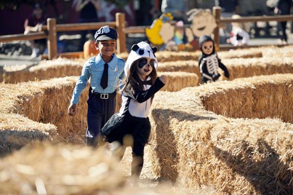 Camp Spooky features kid-friendly mazes, trick-or-treating, costume parties, live shows and all your favourite KidZville and Planet Snoopy rides.