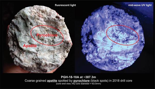 Figure 2. Fluorescent (left) and mid-wave UV light (right) photos showing coarser grained  pyrochlores in apatite at ~387.3m in hole PGH-18-10A. 