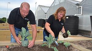 College of DuPage Offers New Sustainable Urban Agriculture Program