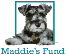 Maddie’s Fund Surpri