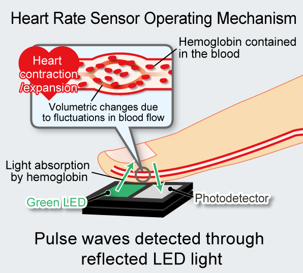 Optical Heart Rate Sensor Operating Mechanism