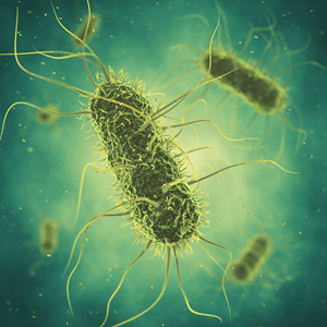 CERTUS™ to Bring In-House Salmonella Testing to Food Processing Plants