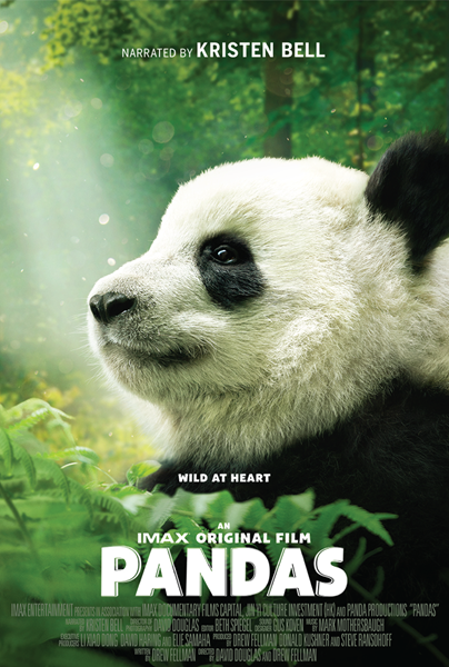 PANDAS opens Saturday, May 5 at The Hackworth IMAX Dome Theater at The Tech Museum of Innovation in San Jose. 